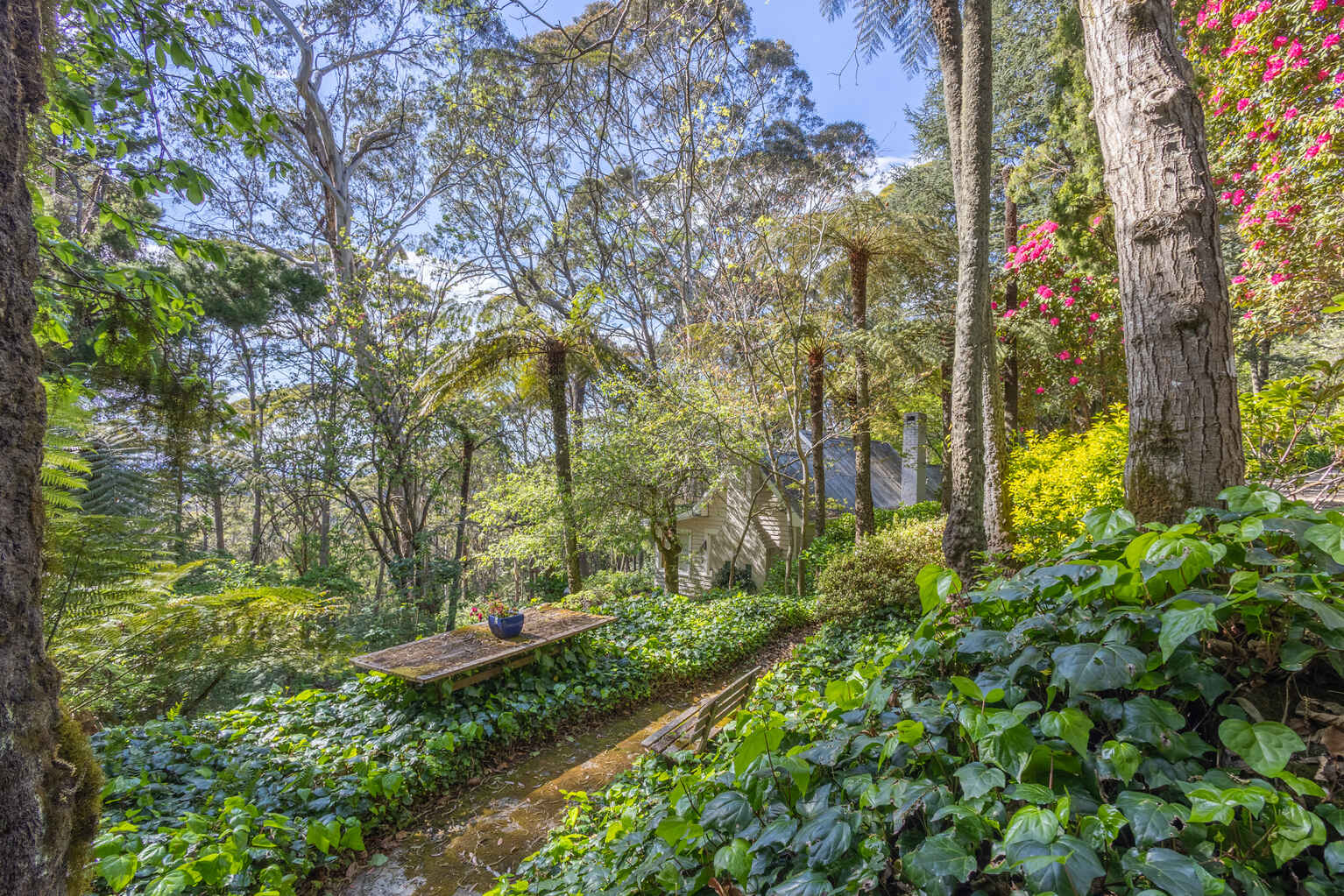 17-21 Wynnes Rocks Road Mount Wilson