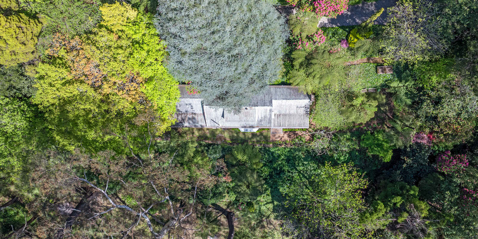 17-21 Wynnes Rocks Road Mount Wilson