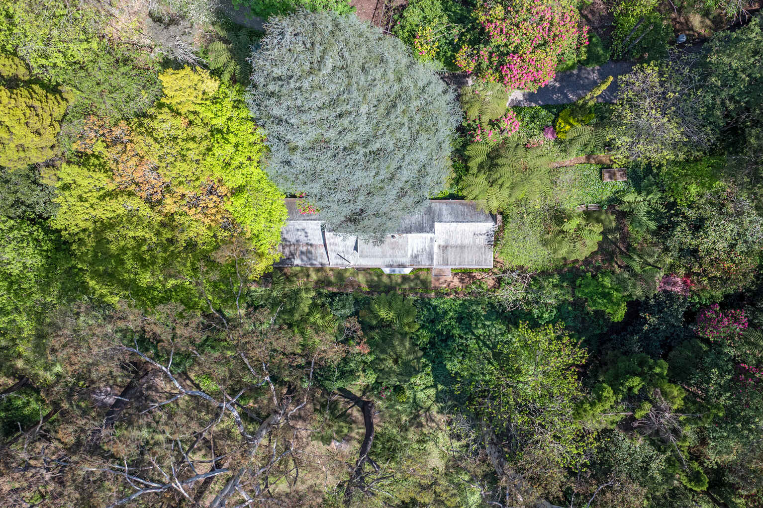 17-21 Wynnes Rocks Road Mount Wilson