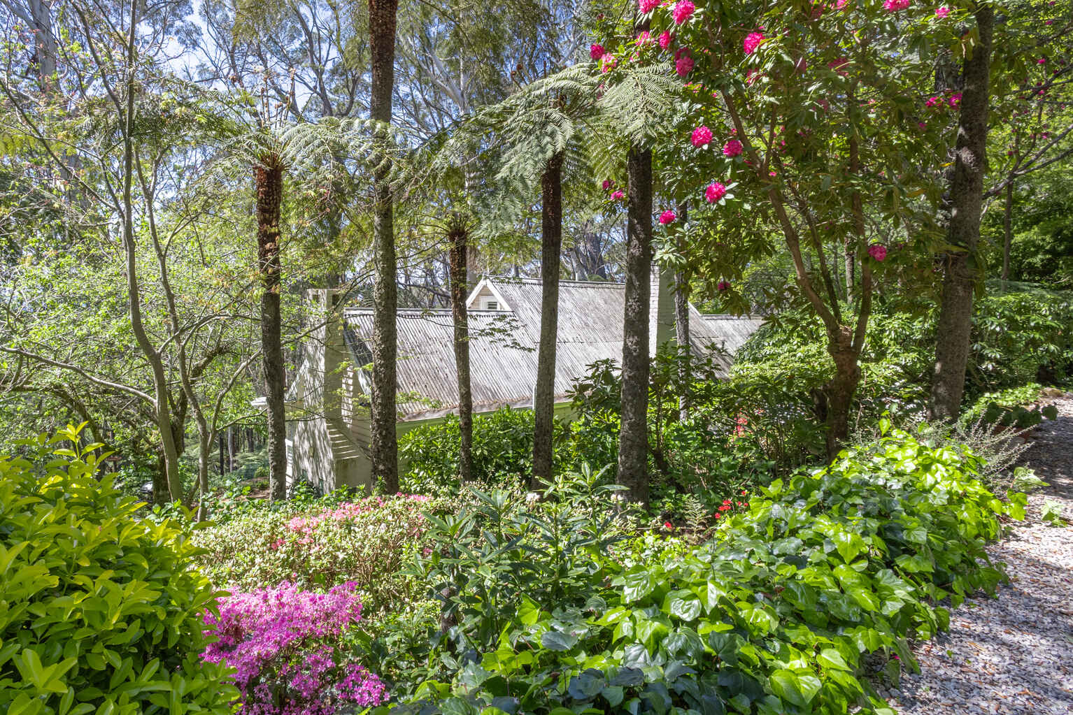 17-21 Wynnes Rocks Road Mount Wilson