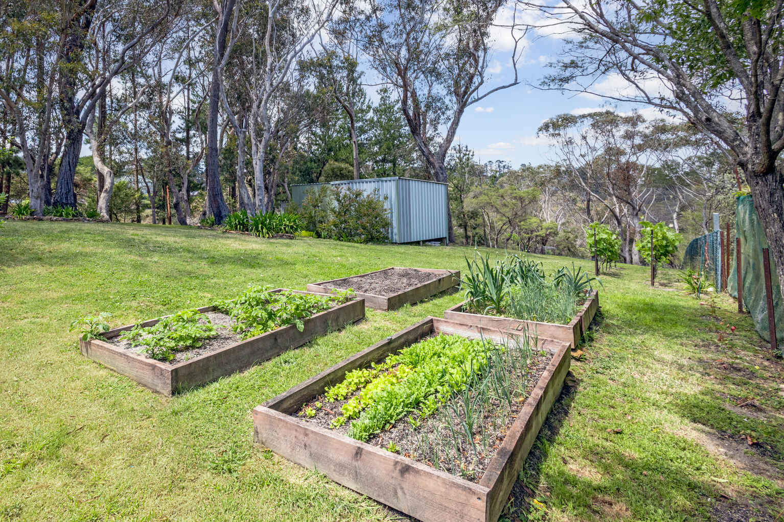 44 Ada Road Blackheath