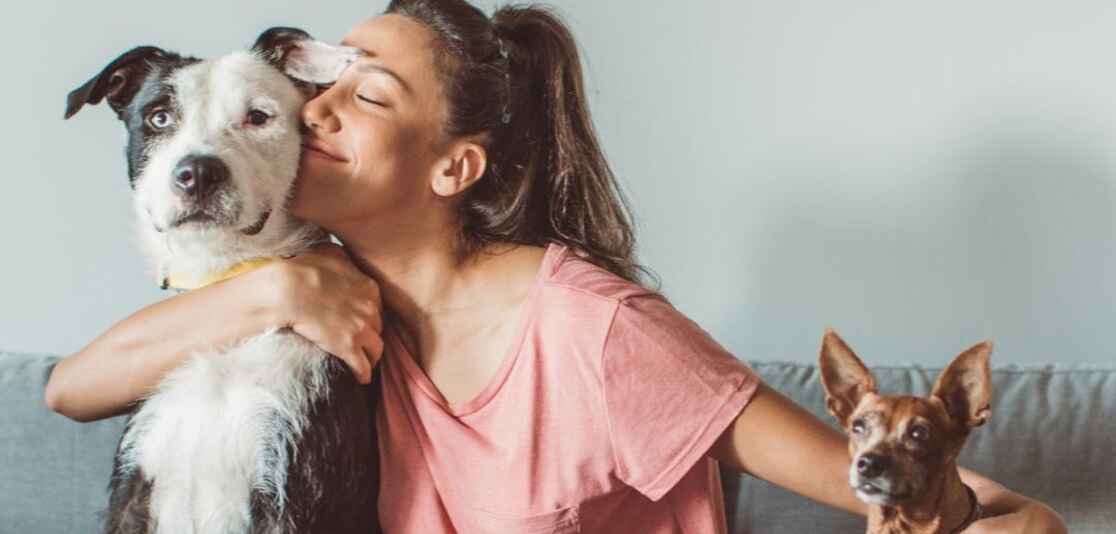 Pet-Friendly Homes — What Buyers & Renters Want Pet-Friendly Homes — What Buyers & Renters Want