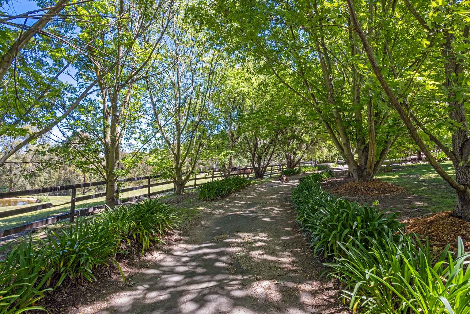 38B Morris Place Little Hartley