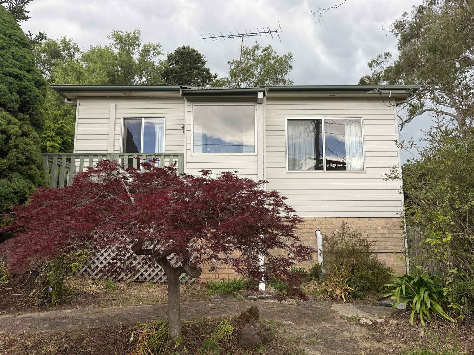 12 Murri Street Blackheath