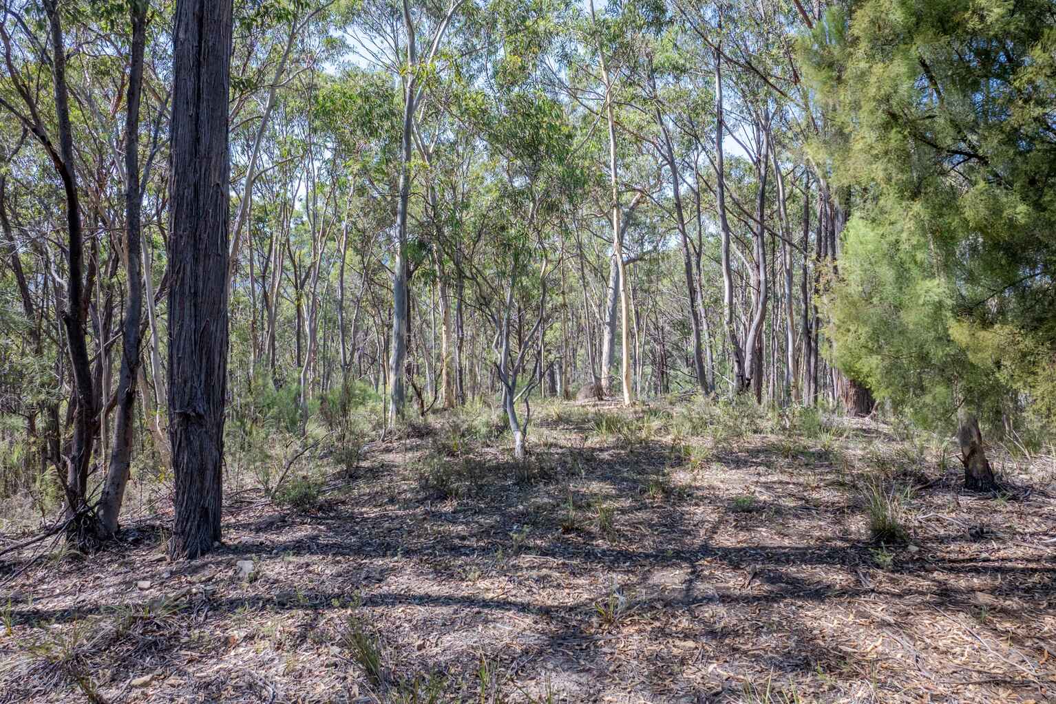 Lot 3422 Blackheath Creek Road Kanimbla