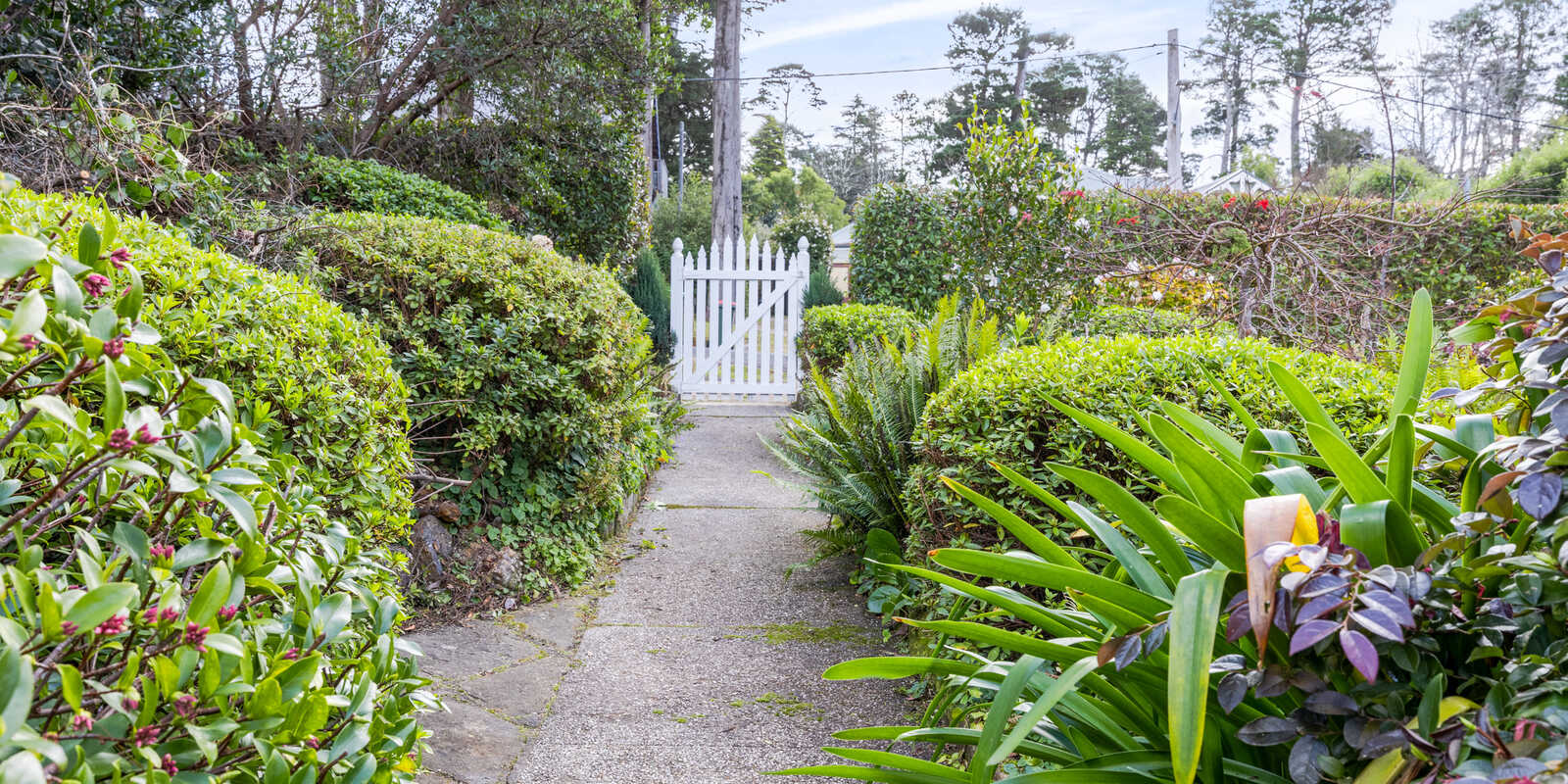7 Barratt Street Blackheath