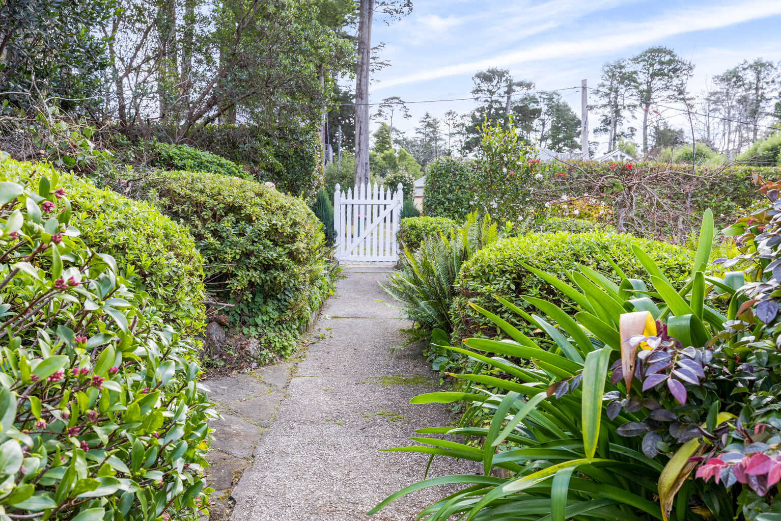 7 Barratt Street Blackheath