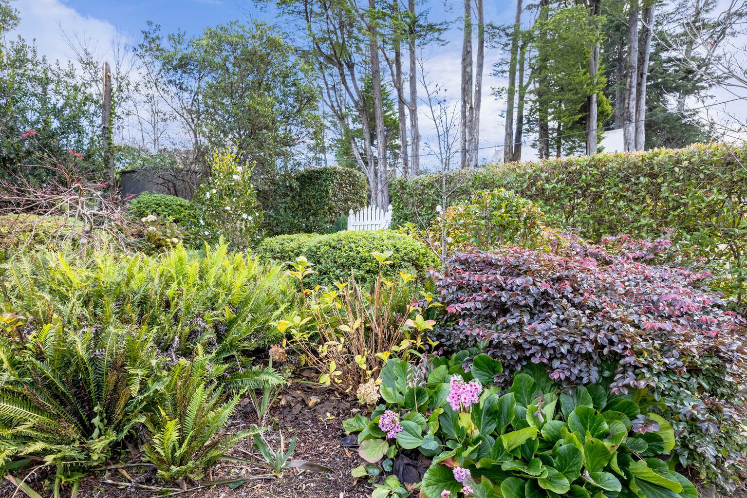 7 Barratt Street Blackheath