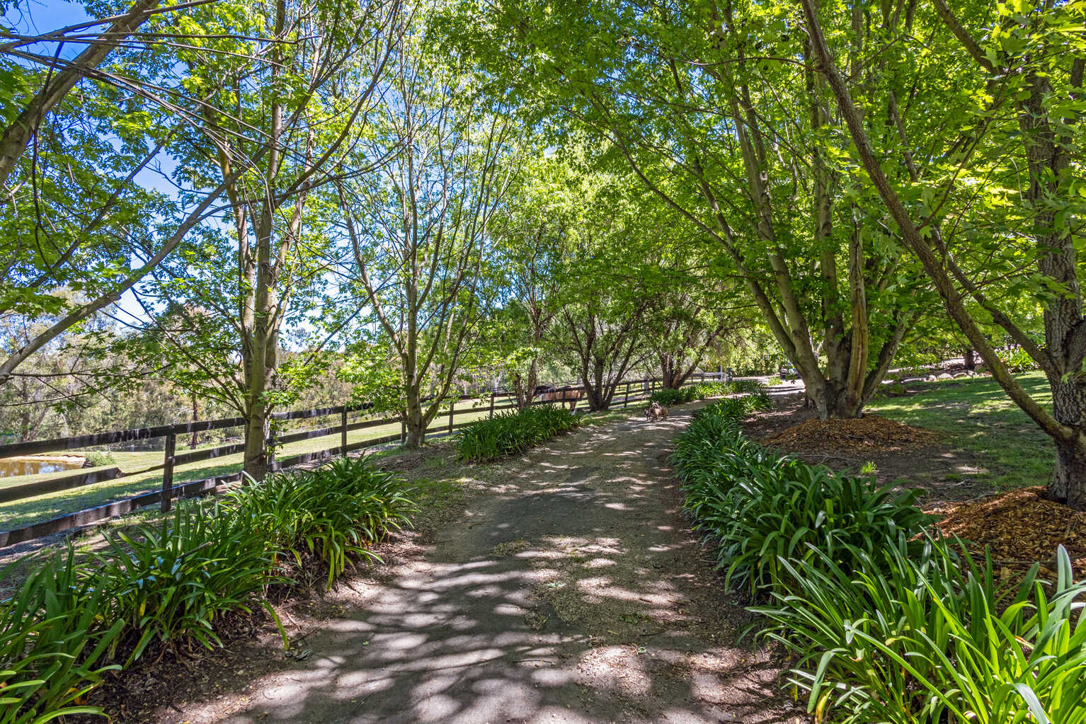 38B Morris Place Little Hartley