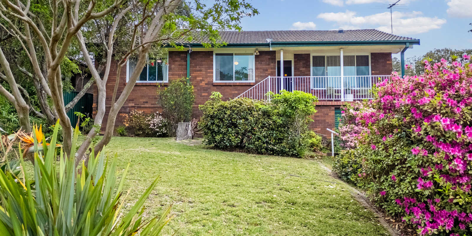19 Judith Avenue Mount Riverview 19 Judith Avenue Mount Riverview