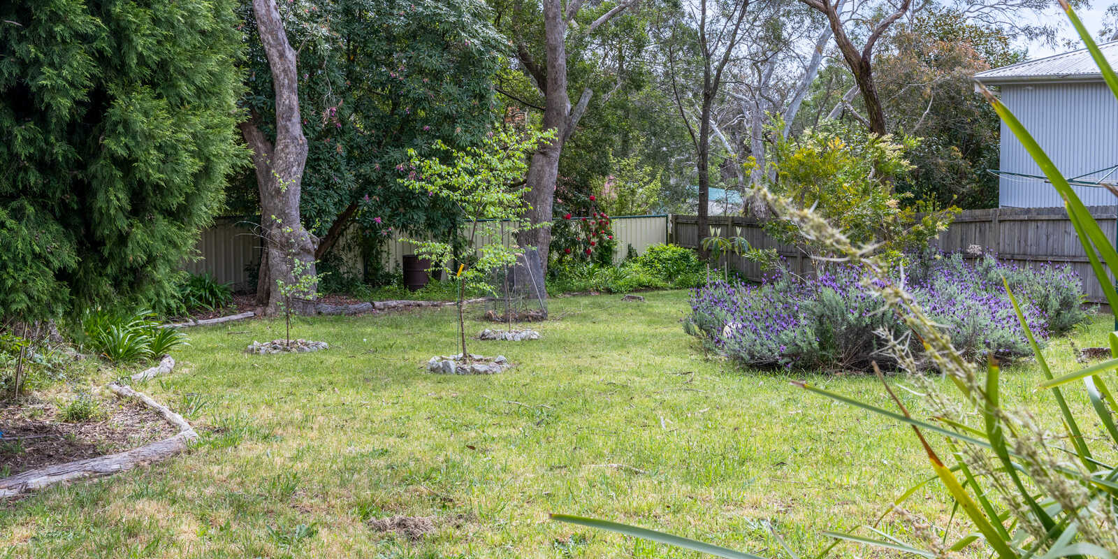 20 Hillier Avenue Blackheath
