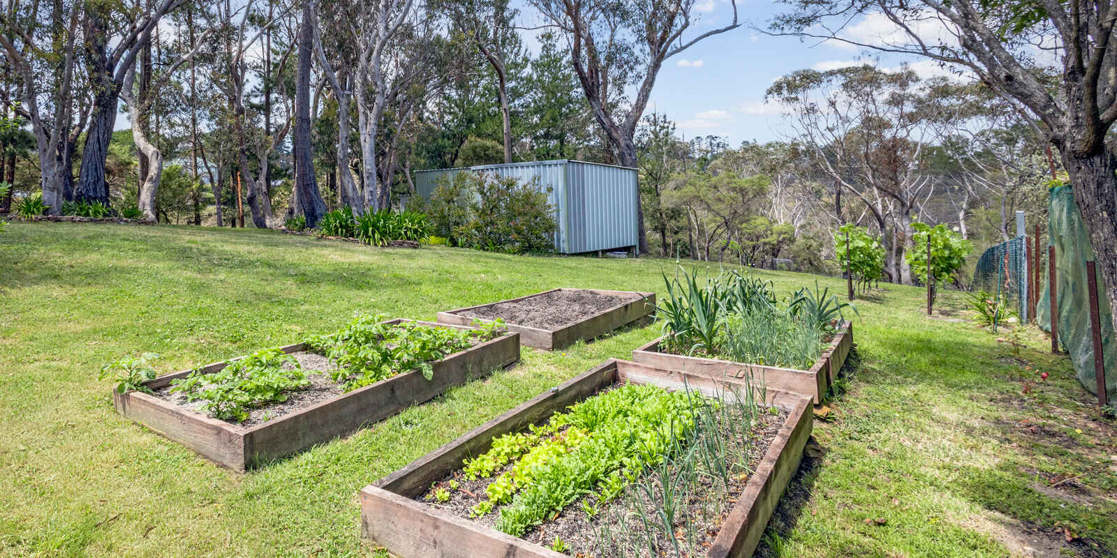 44 Ada Road Blackheath