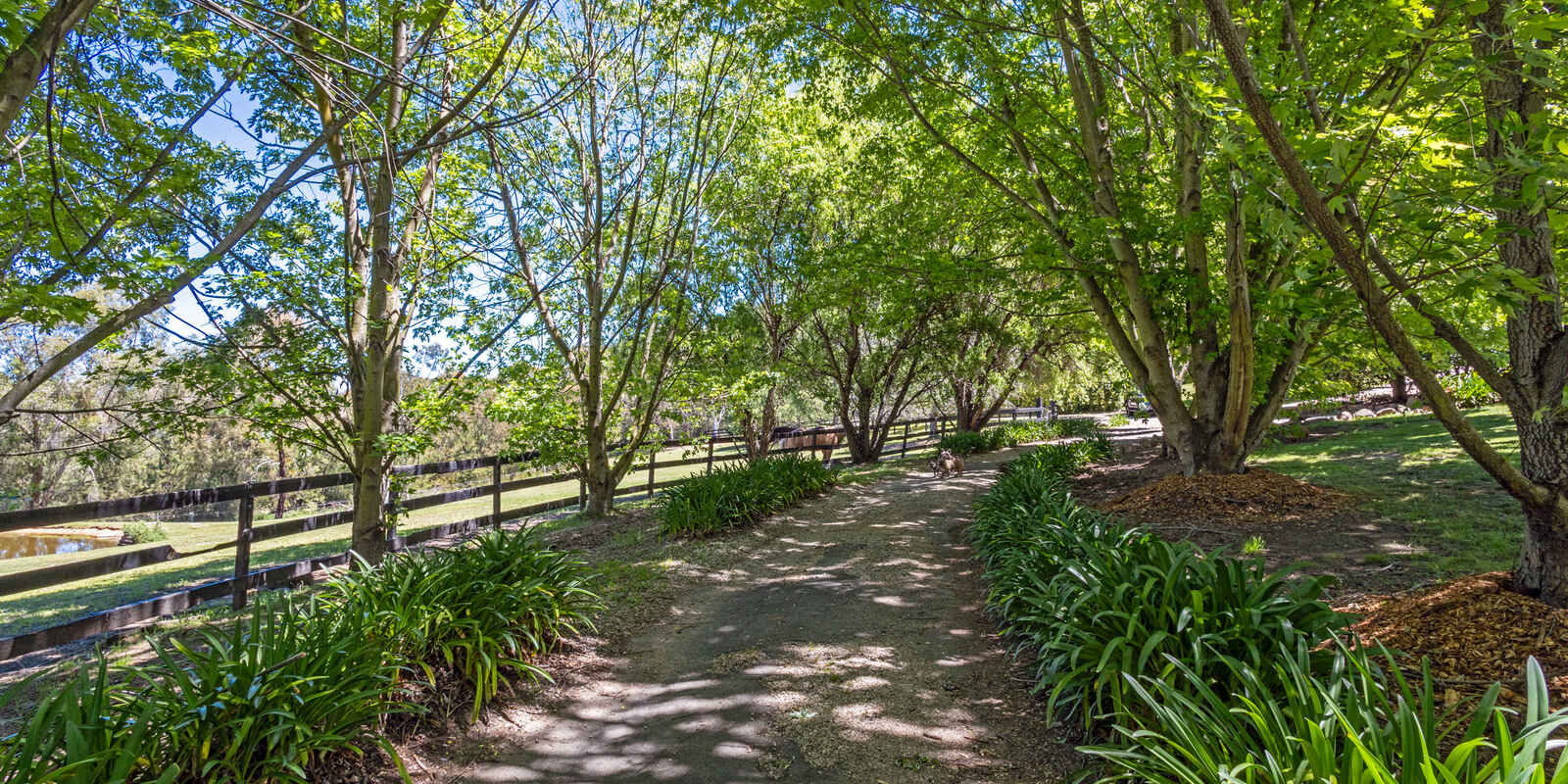 38B Morris Place Little Hartley