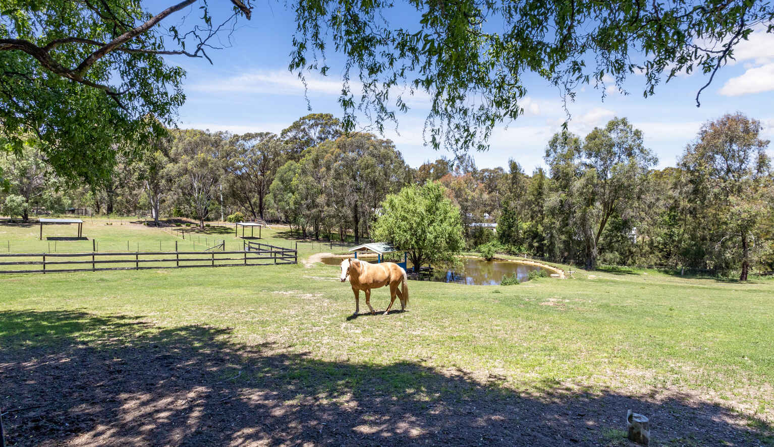 38B Morris Place Little Hartley