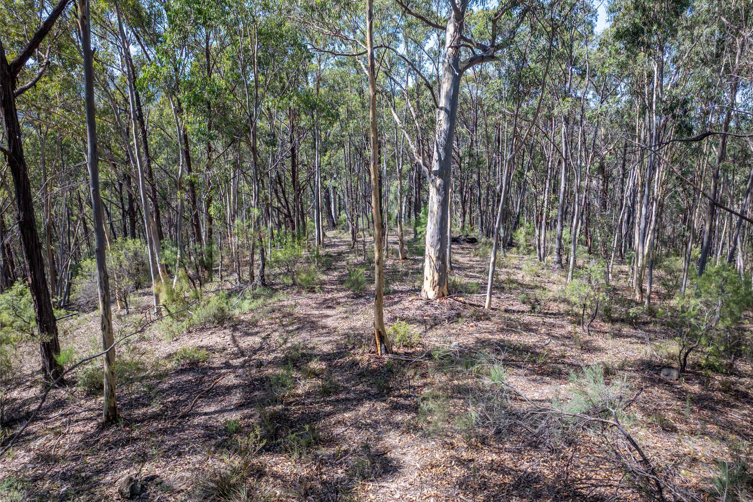 Lot 3422 Blackheath Creek Road Kanimbla