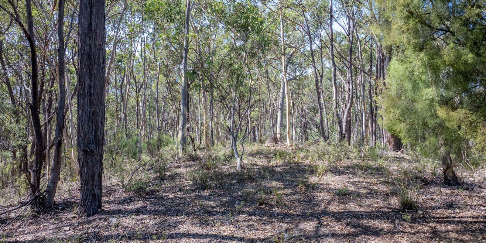 Lot 3422 Blackheath Creek Road Kanimbla
