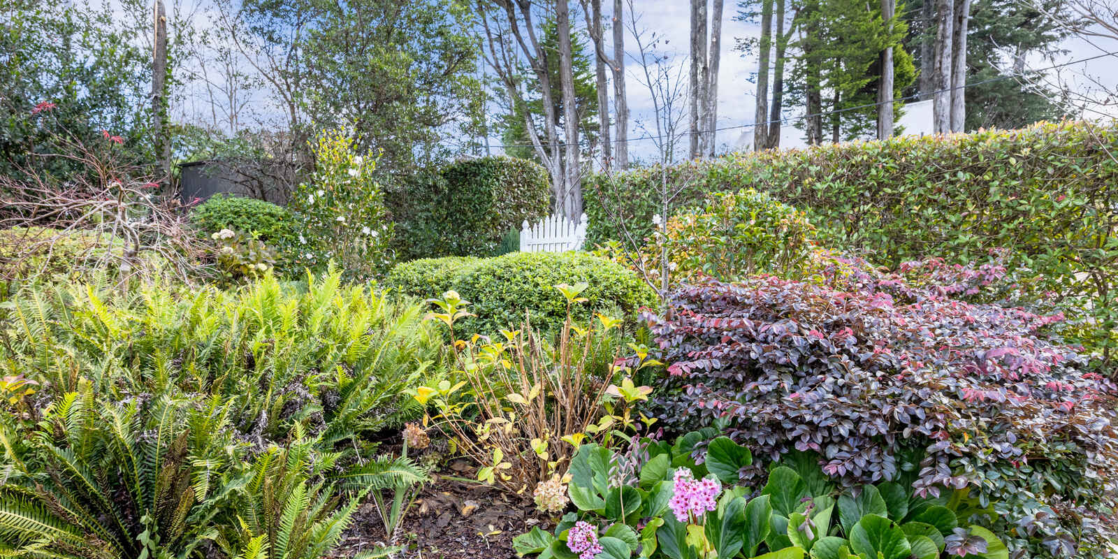7 Barratt Street Blackheath
