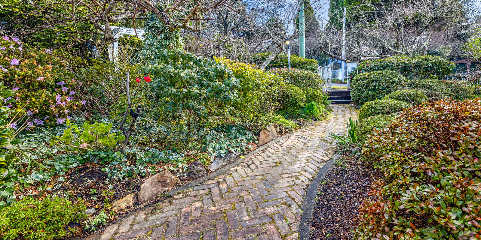 3 Gardiner Crescent Blackheath