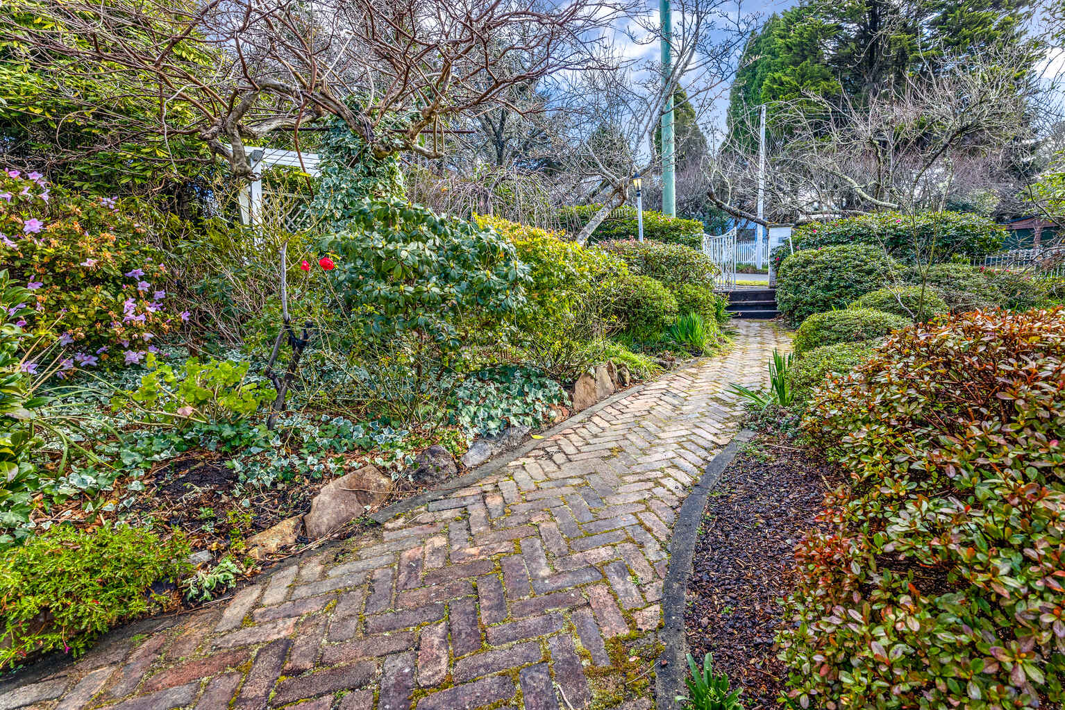 3 Gardiner Crescent Blackheath