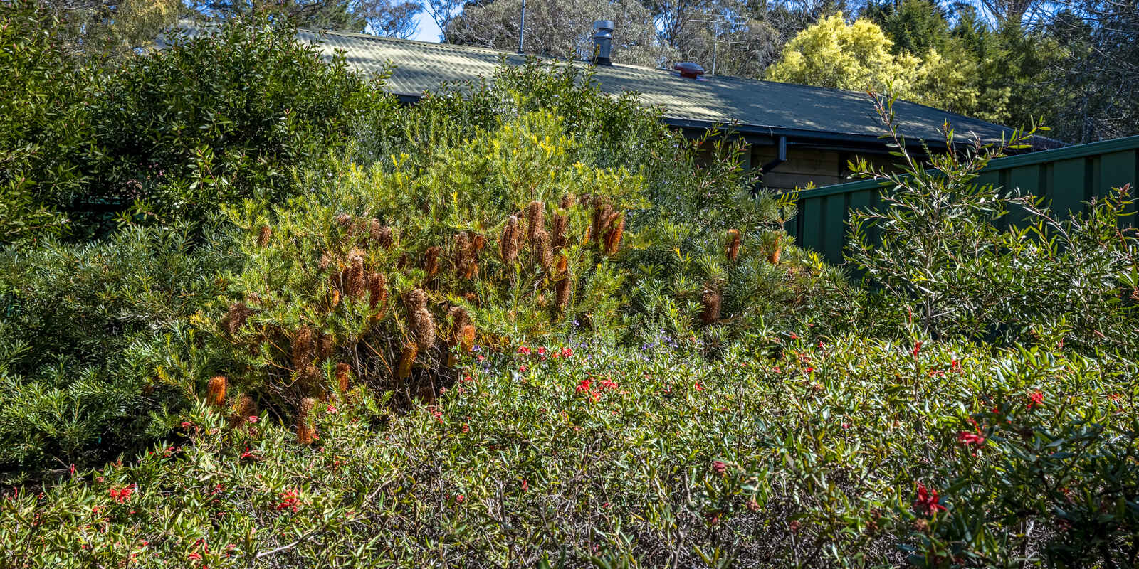 8 Waragil Street Blackheath 8 Waragil Street Blackheath