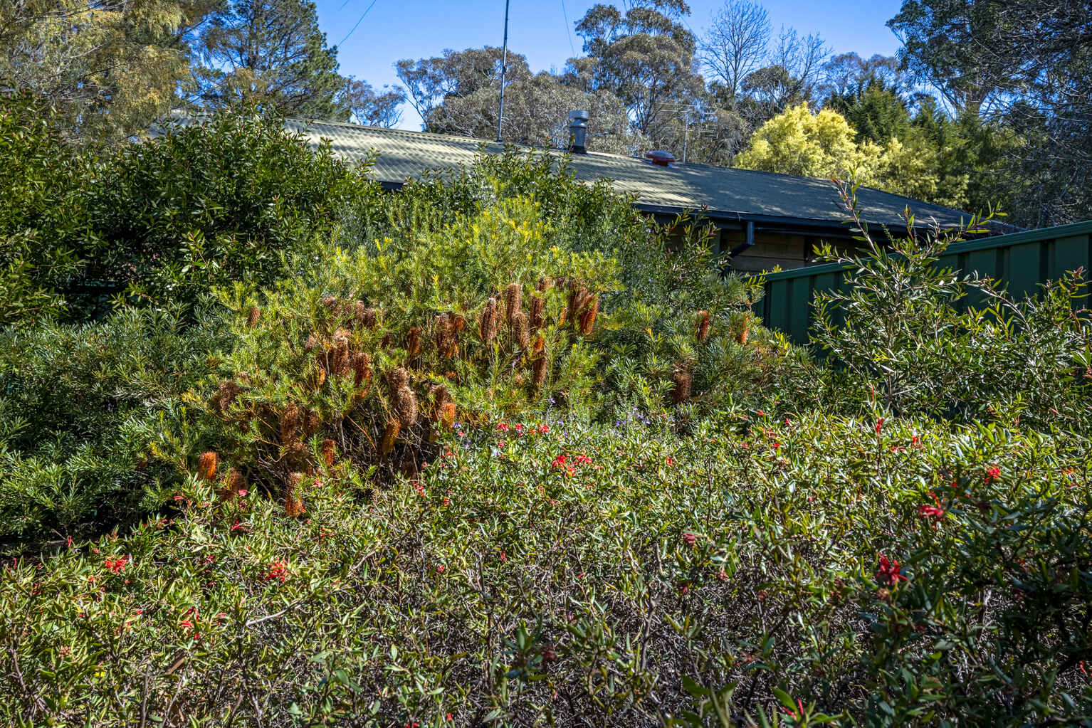 8 Waragil Street Blackheath 8 Waragil Street Blackheath