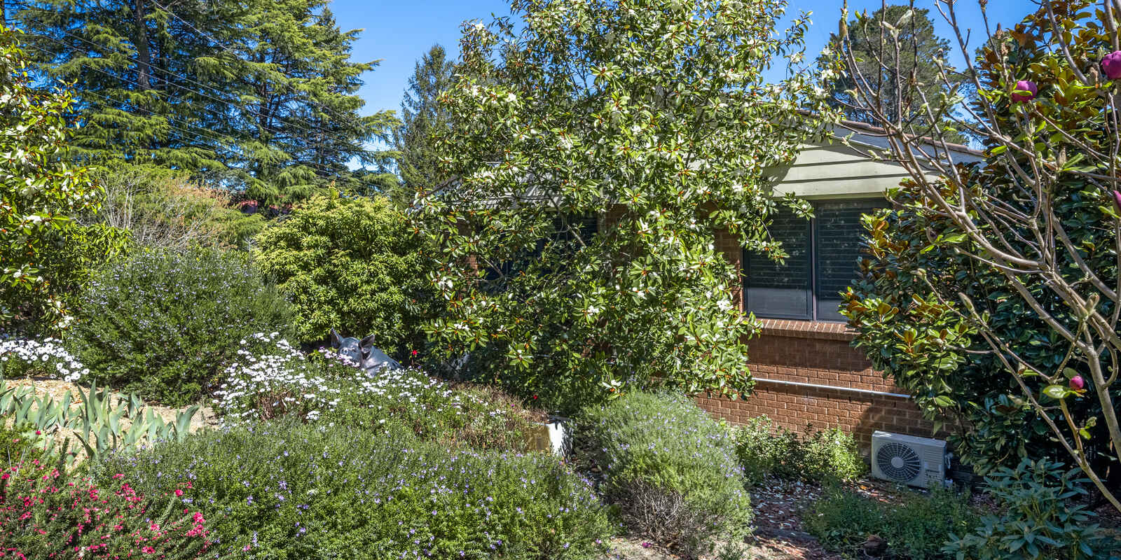8 Waragil Street Blackheath 8 Waragil Street Blackheath