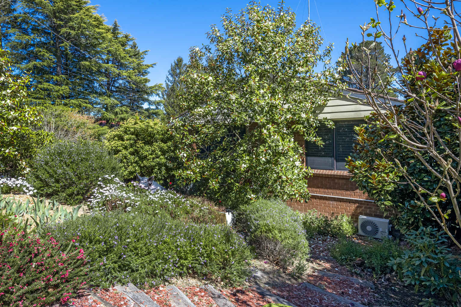 8 Waragil Street Blackheath 8 Waragil Street Blackheath