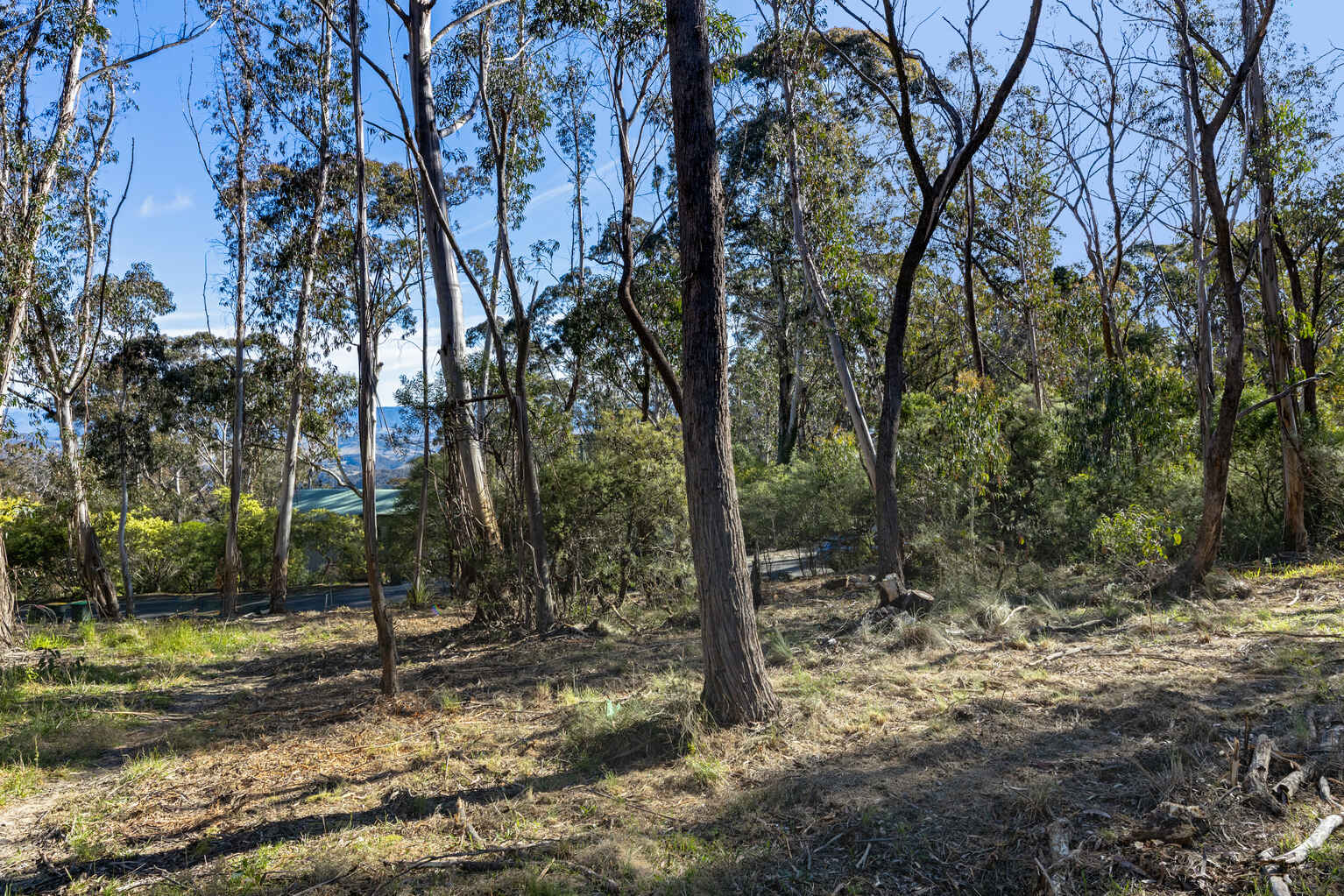 153 Victoria Street Mount Victoria