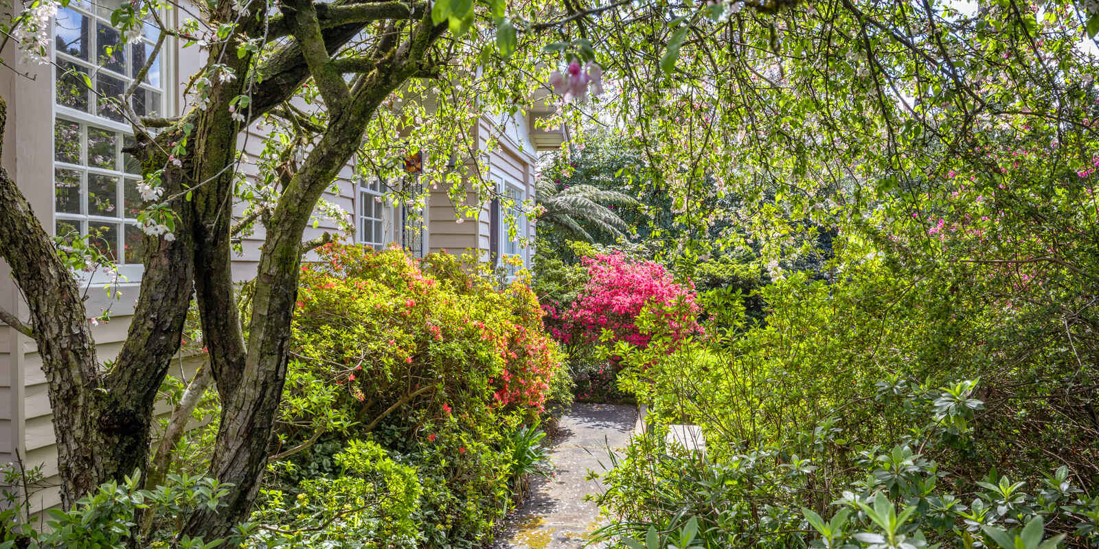 42 Inconstant Street Blackheath