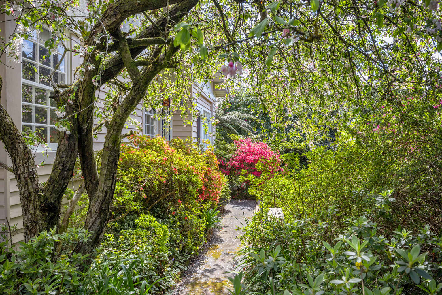 42 Inconstant Street Blackheath