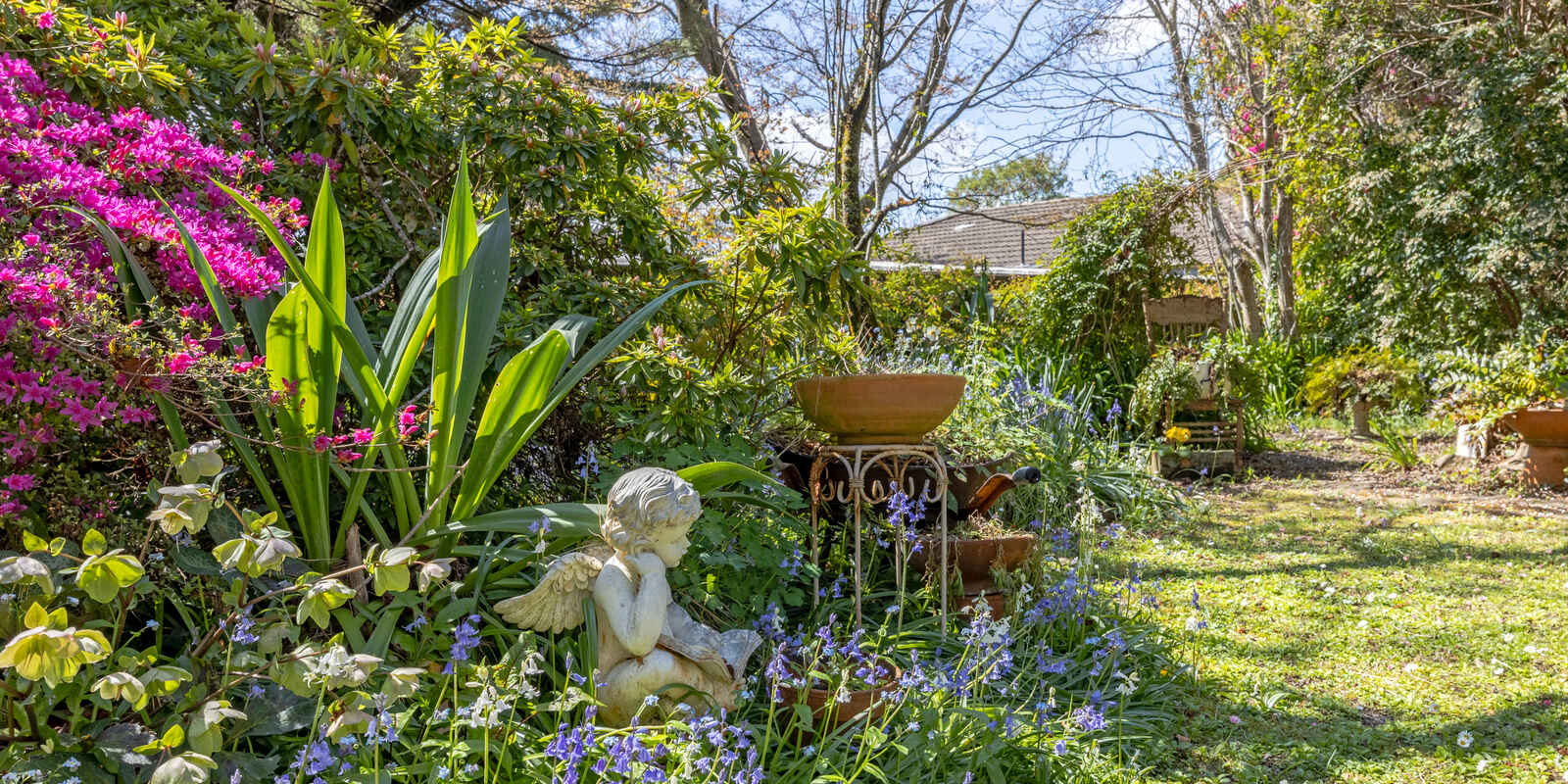 42 Inconstant Street Blackheath