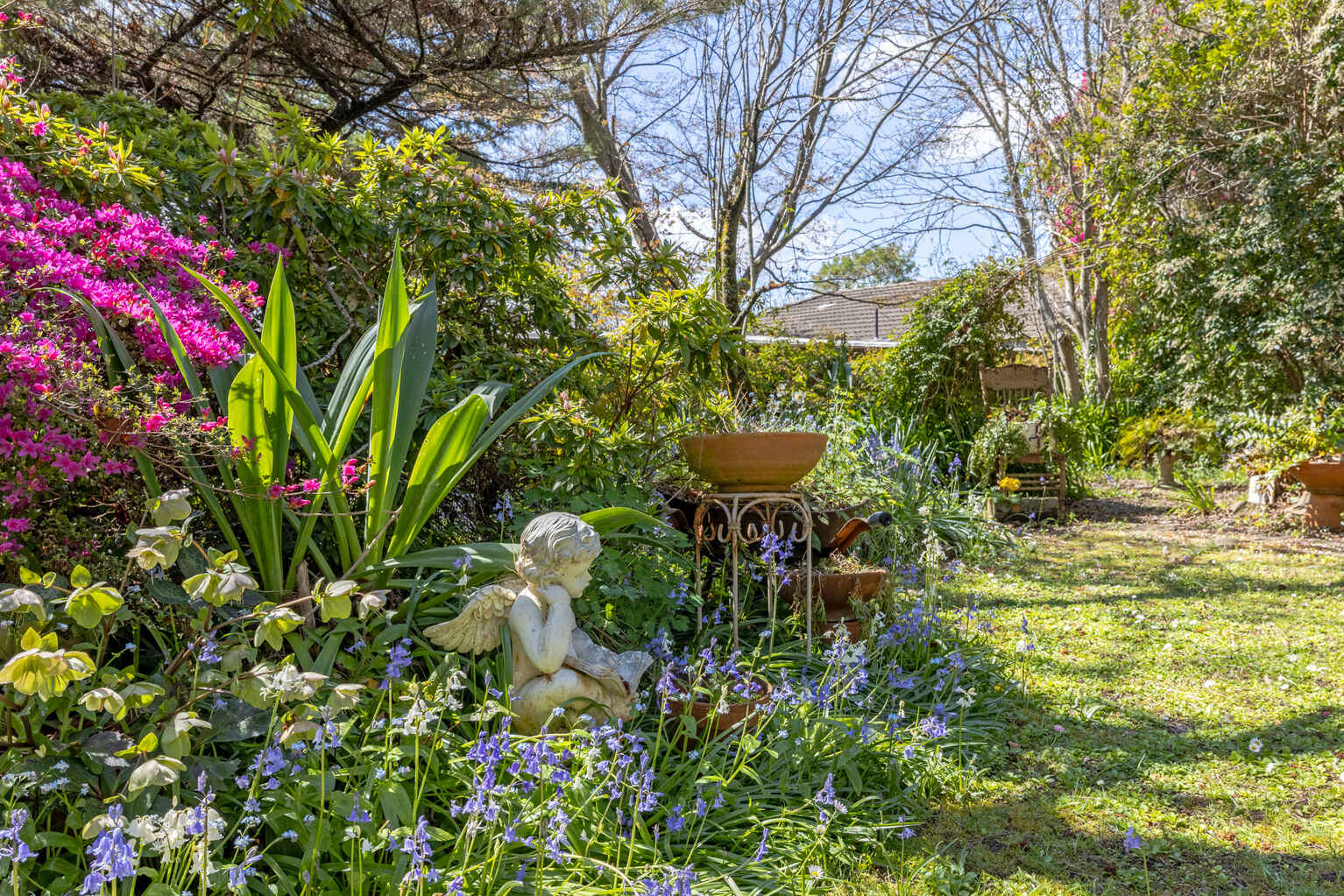42 Inconstant Street Blackheath