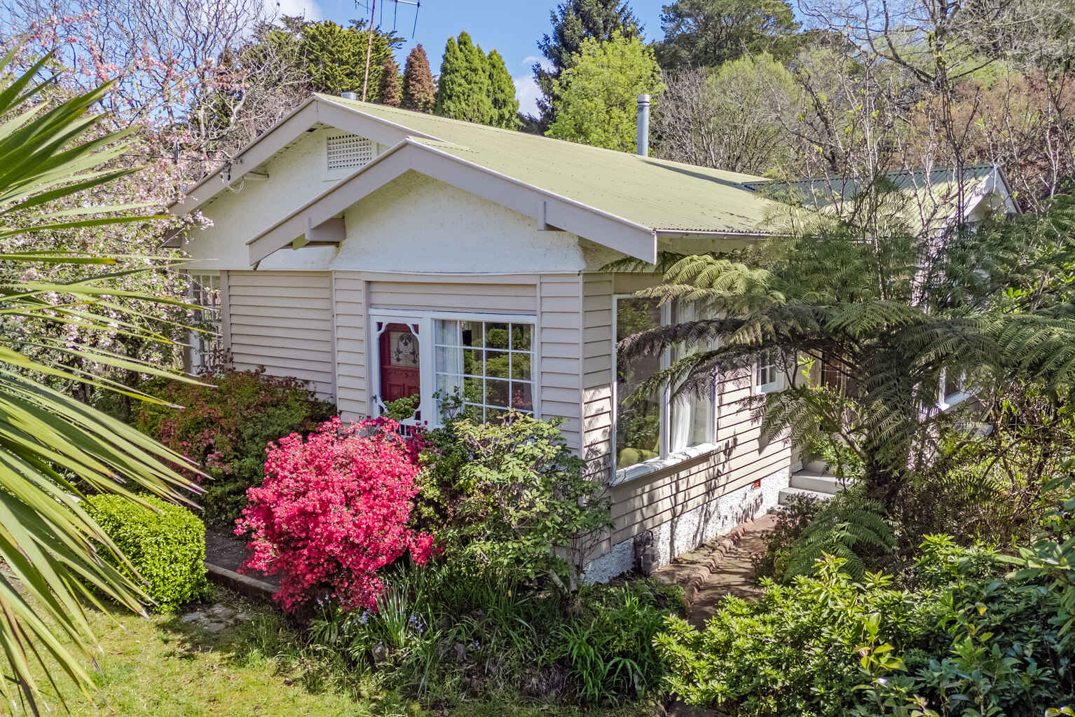 42 Inconstant Street Blackheath