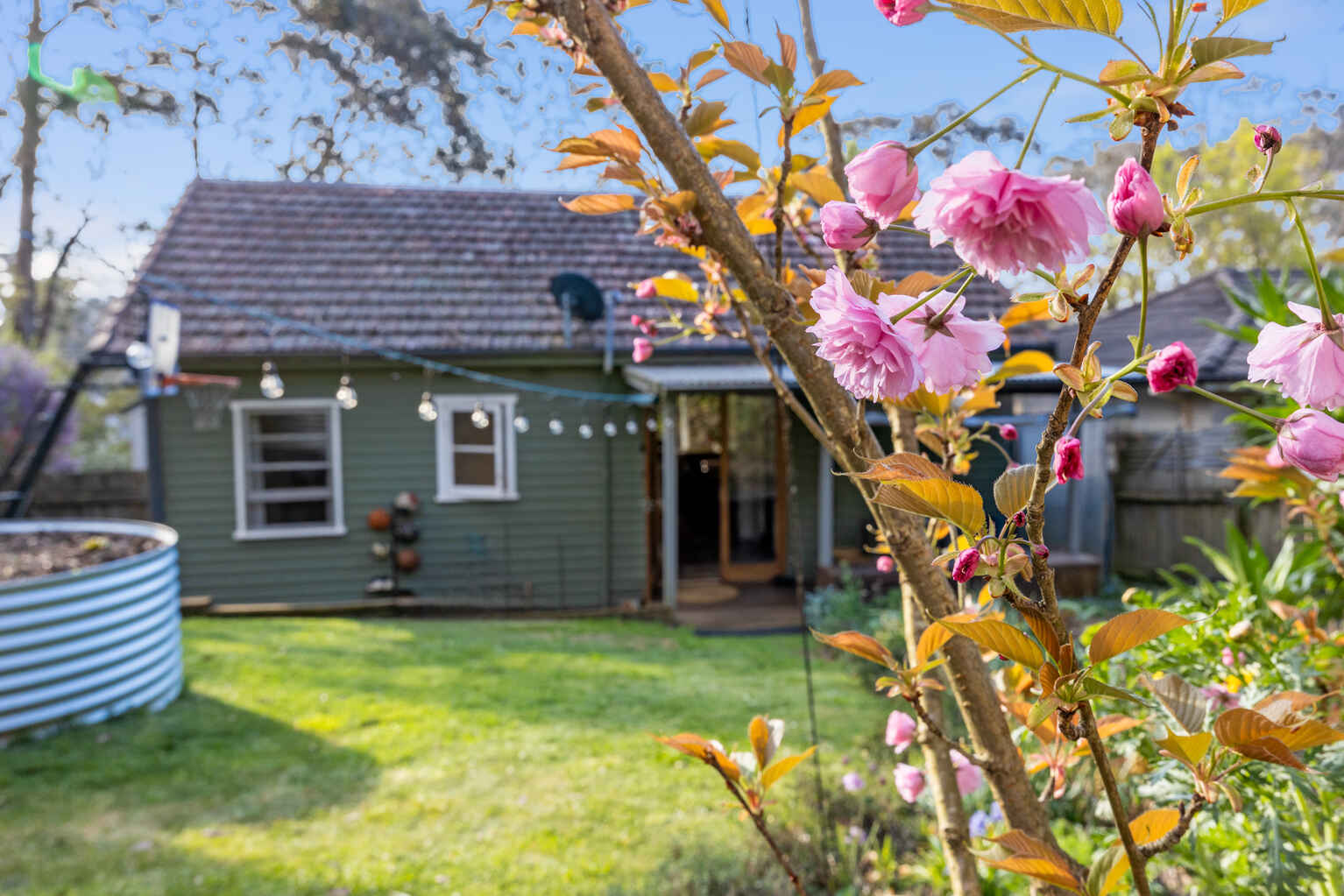 61 Godson Avenue Blackheath