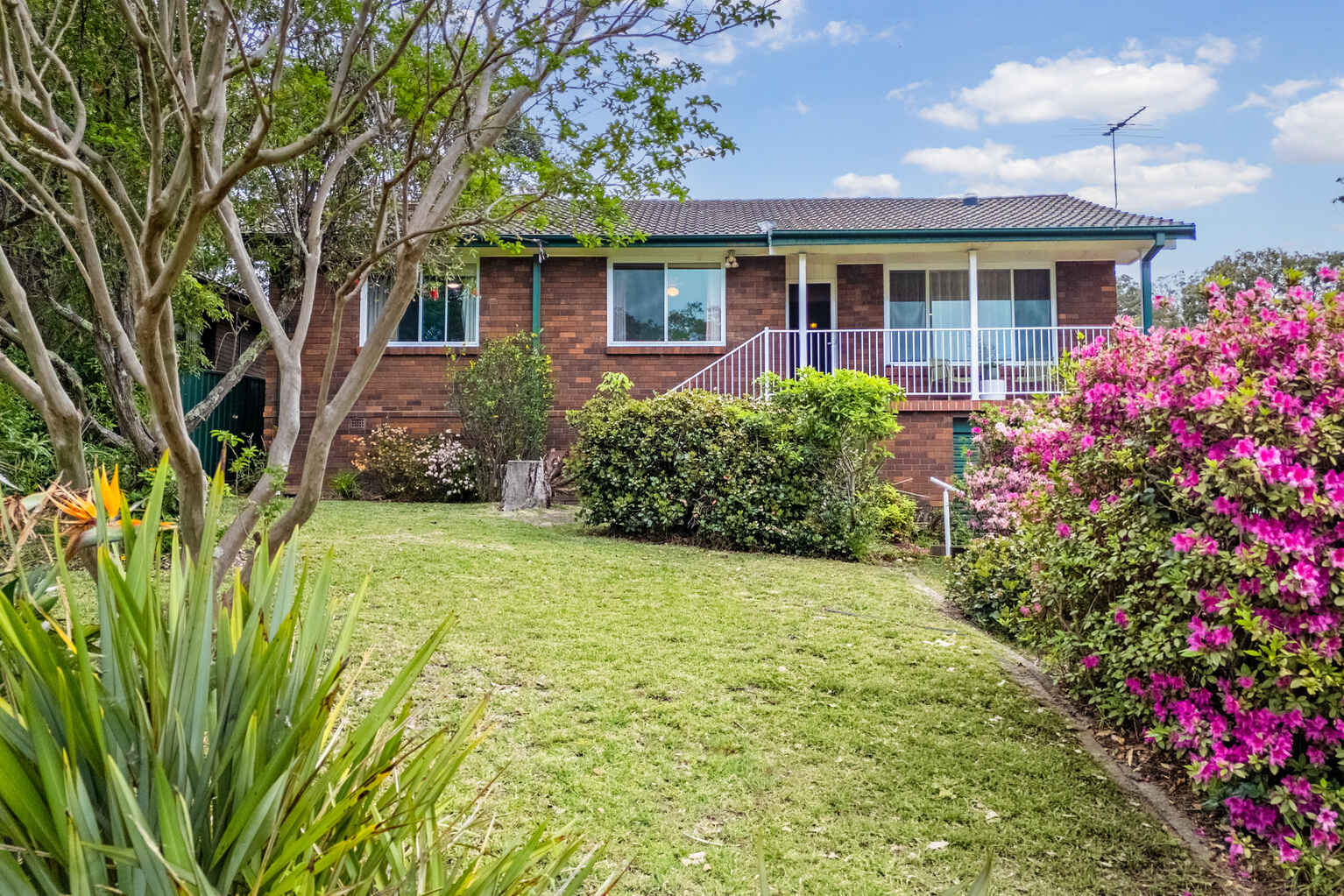19 Judith Avenue Mount Riverview