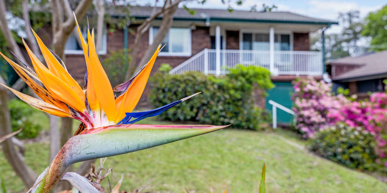19 Judith Avenue Mount Riverview