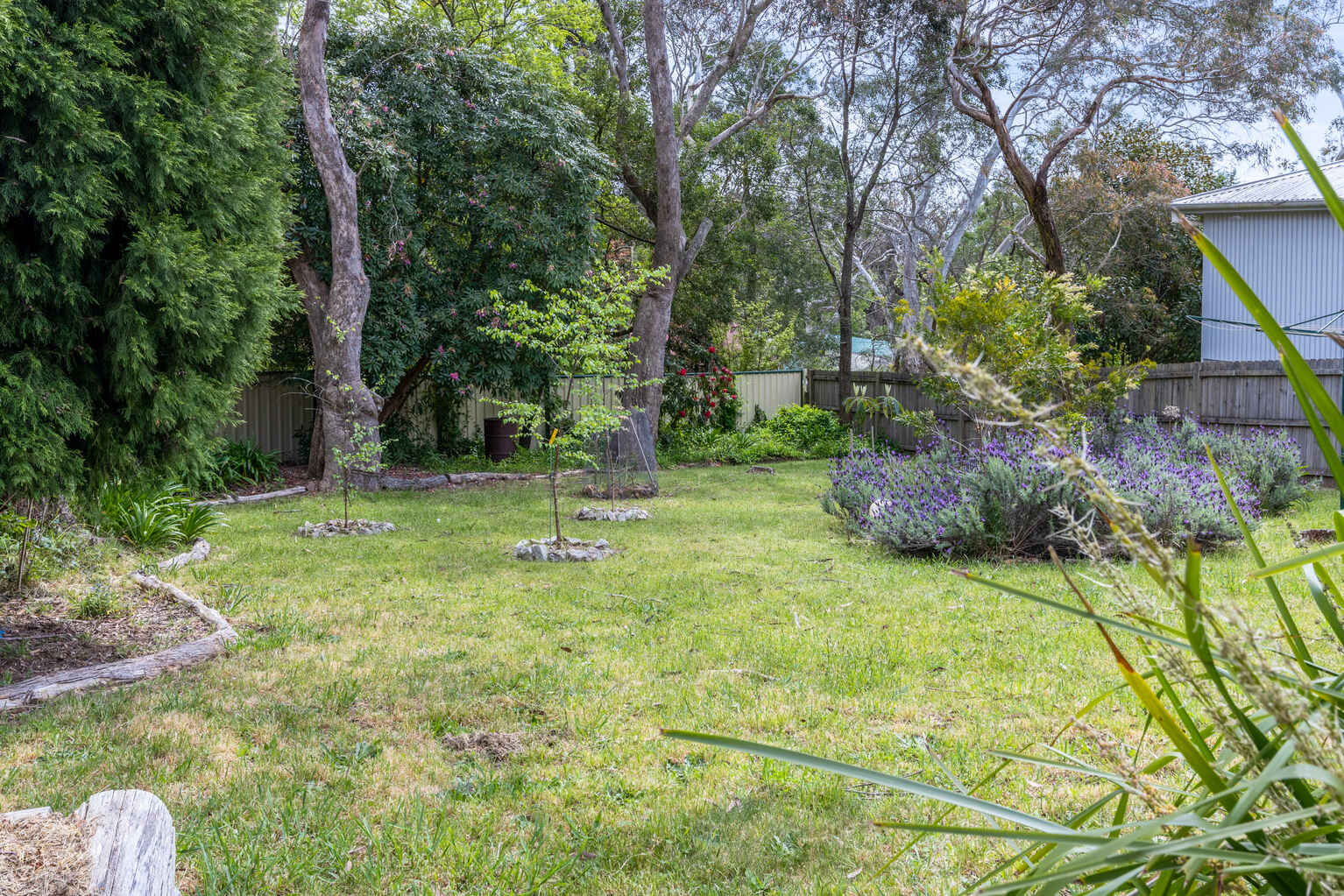 20 Hillier Avenue Blackheath 20 Hillier Avenue Blackheath