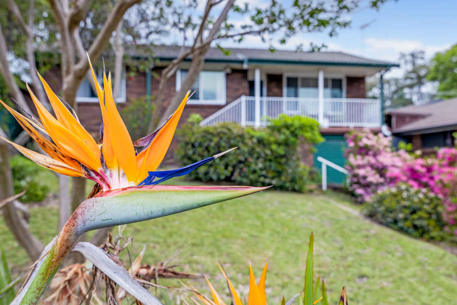 19 Judith Avenue Mount Riverview