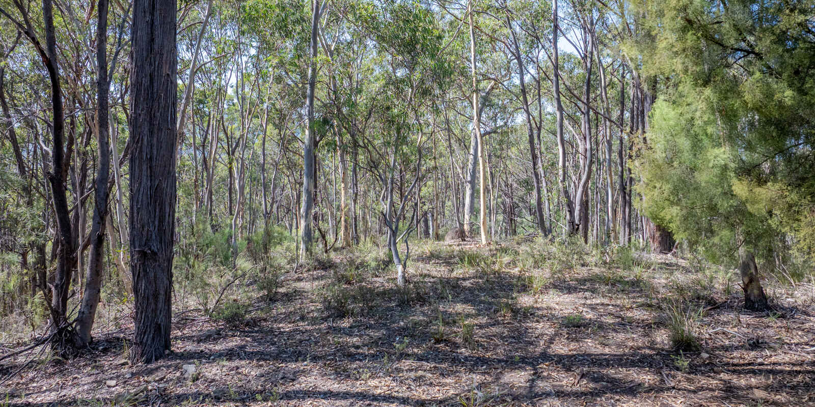 Lot 3422 Blackheath Creek Road Kanimbla